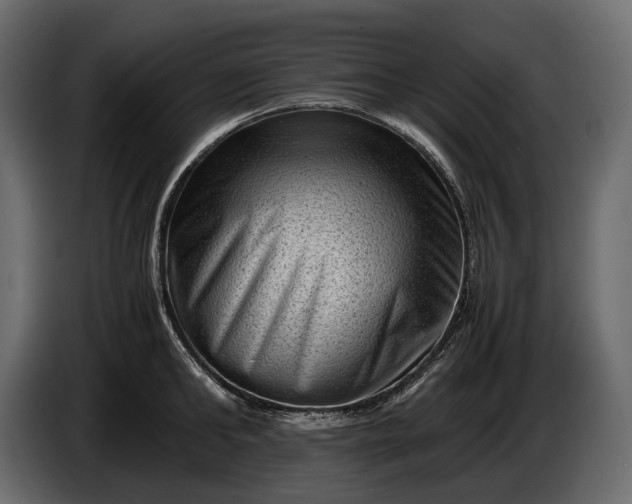 X0000086290902200704131545