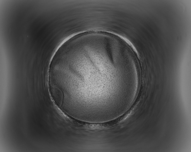 X0000086290903200704131545