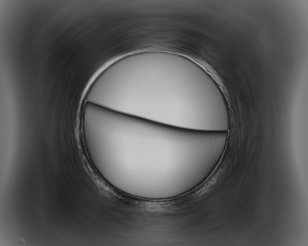 X0000086290904200704131545