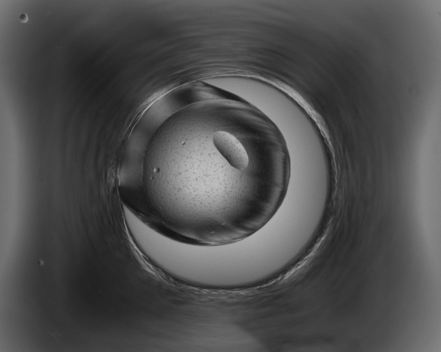 X0000086290905200704131545