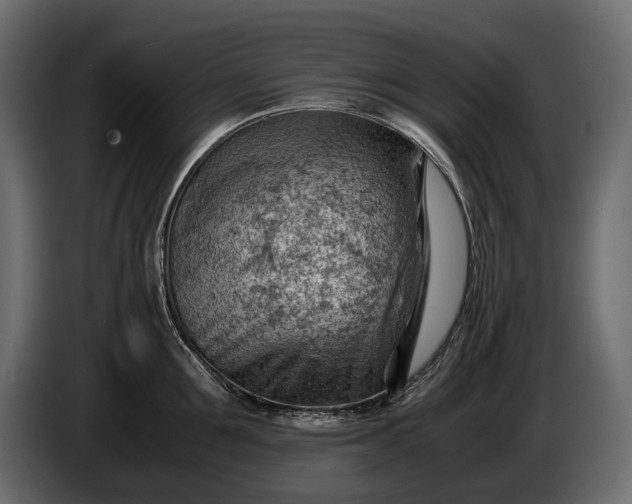 X0000086290907200704131545