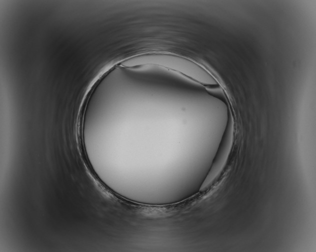 X0000086290909200704131545