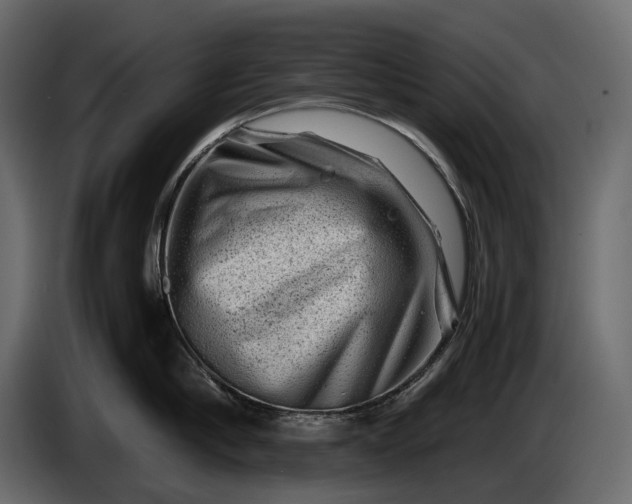 X0000086290910200704131545