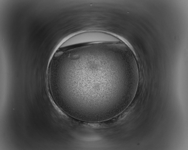 X0000086290911200704131545