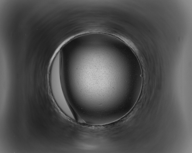 X0000086290912200704131545