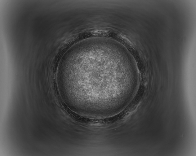 X0000086290913200704131544