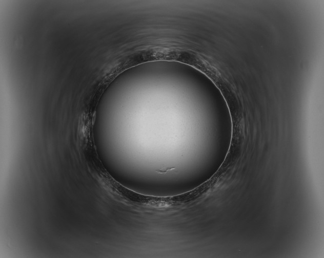 X0000086290914200704131544