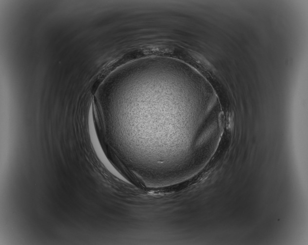 X0000086290915200704131544