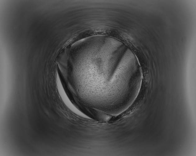 X0000086290916200704131544