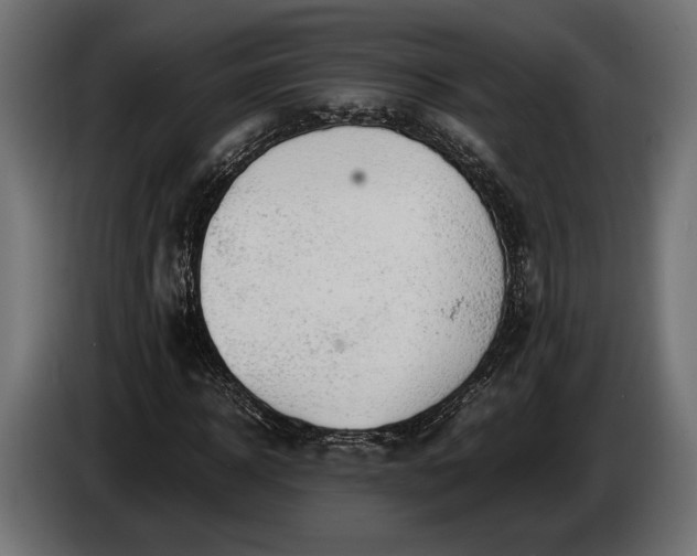 X0000086290918200704131544