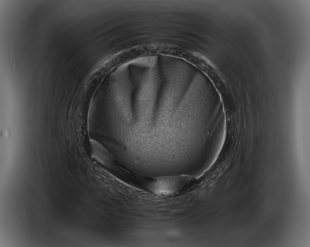 X0000086290919200704131544