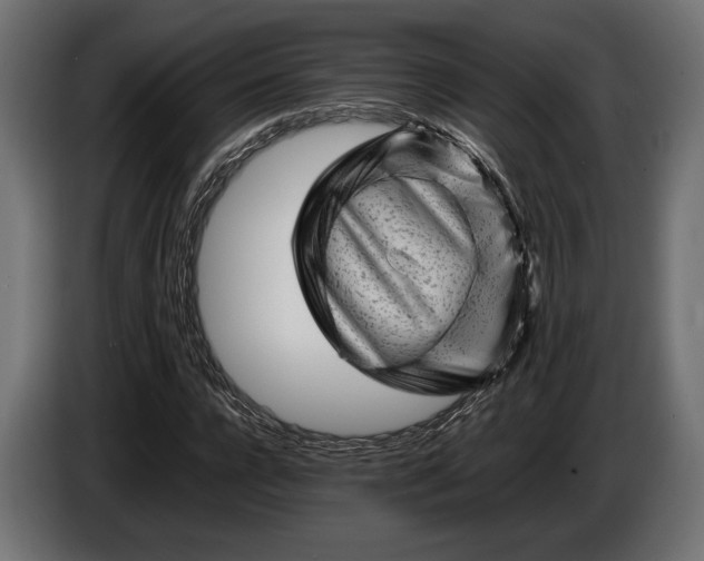 X0000086290920200704131544