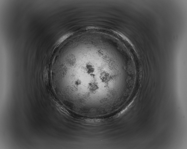 X0000086290921200704131544