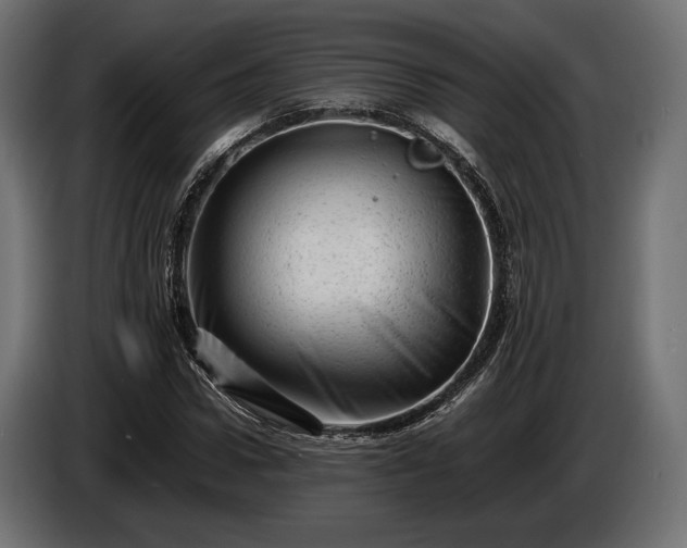 X0000086290922200704131544