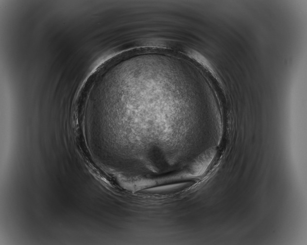 X0000086290923200704131544