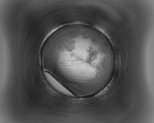 X0000086290925200704131544