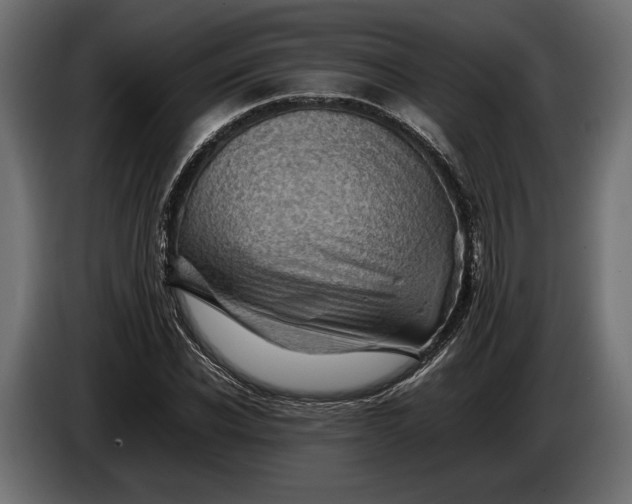 X0000086290926200704131544