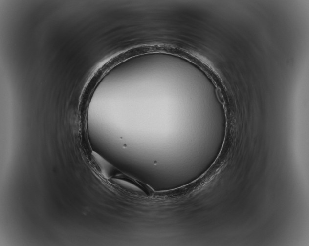 X0000086290927200704131544
