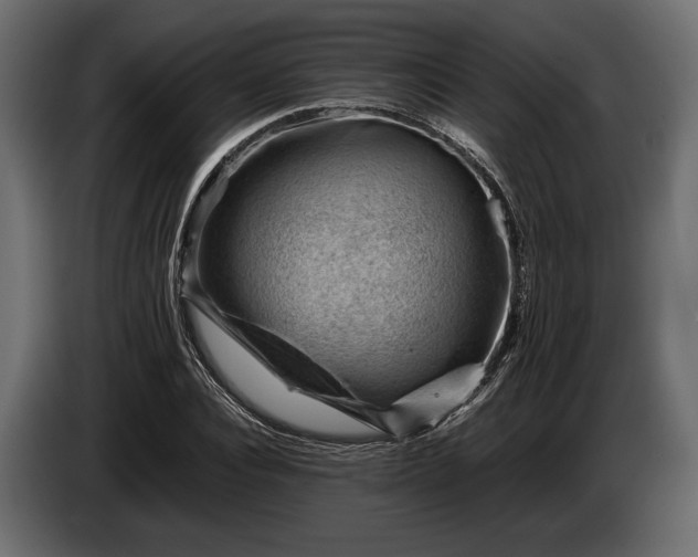 X0000086290928200704131544