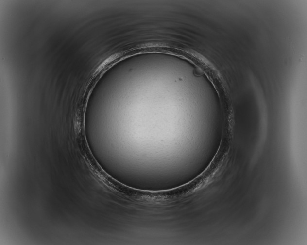 X0000086290929200704131544