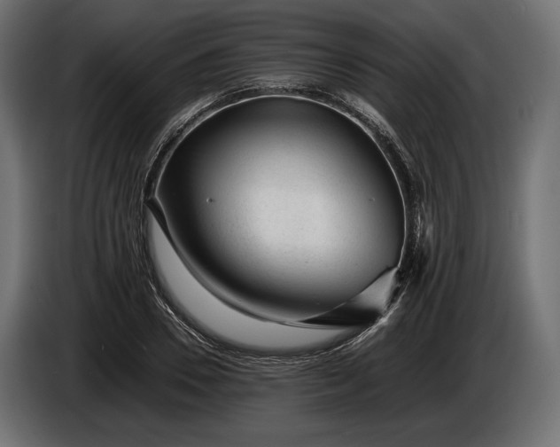 X0000086290930200704131544