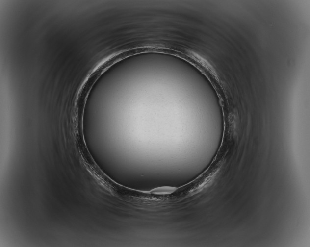 X0000086290931200704131544