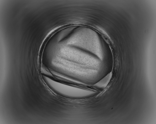 X0000086290932200704131544