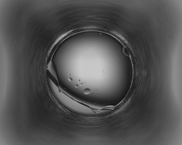 X0000086290933200704131544