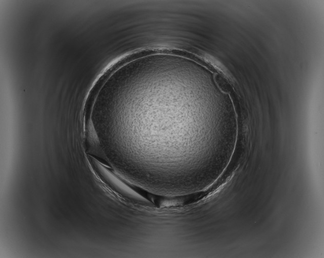 X0000086290934200704131544