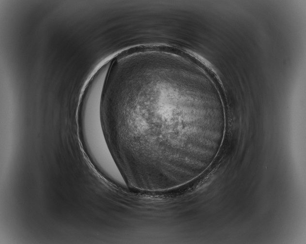 X0000086290935200704131544