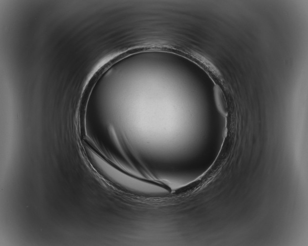 X0000086290936200704131544