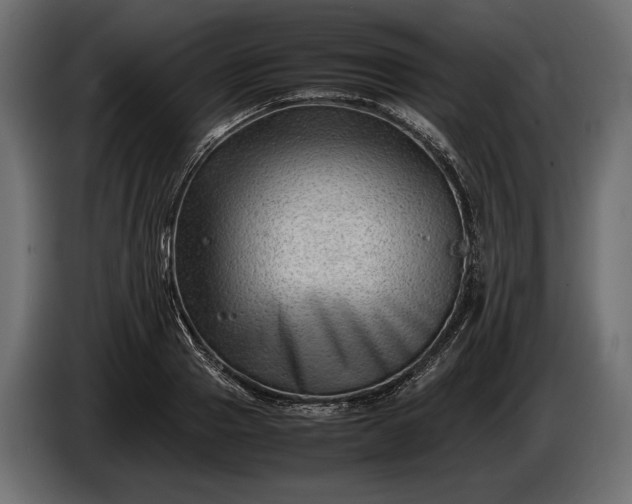 X0000086290937200704131544
