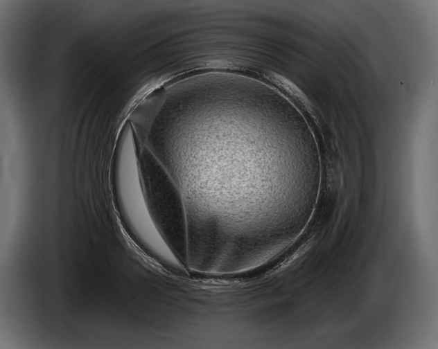 X0000086290938200704131544