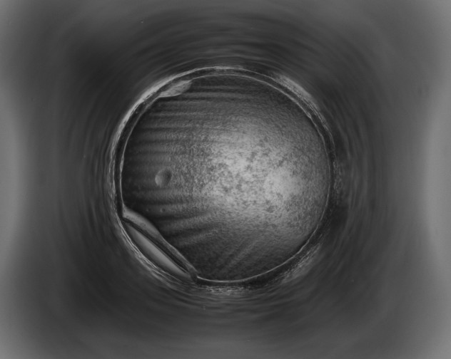 X0000086290939200704131544