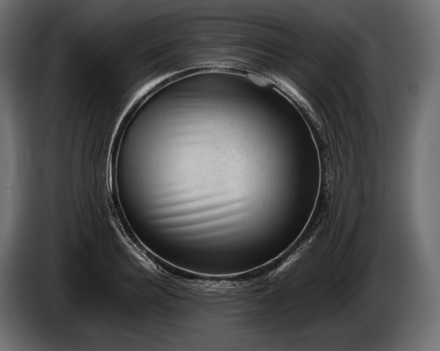 X0000086290940200704131544