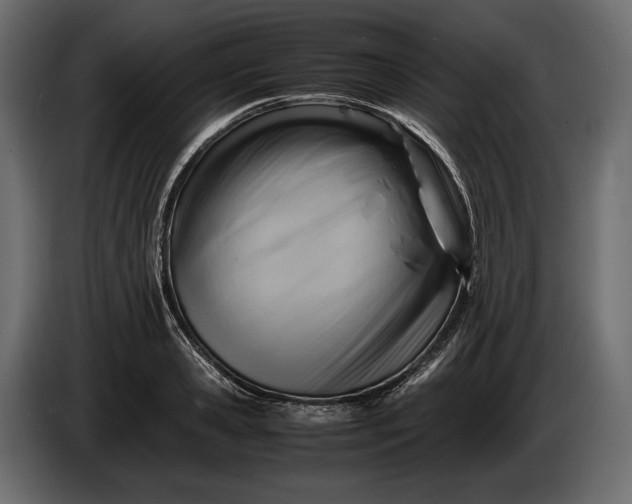 X0000086290941200704131544