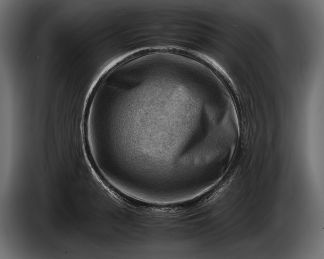 X0000086290943200704131544