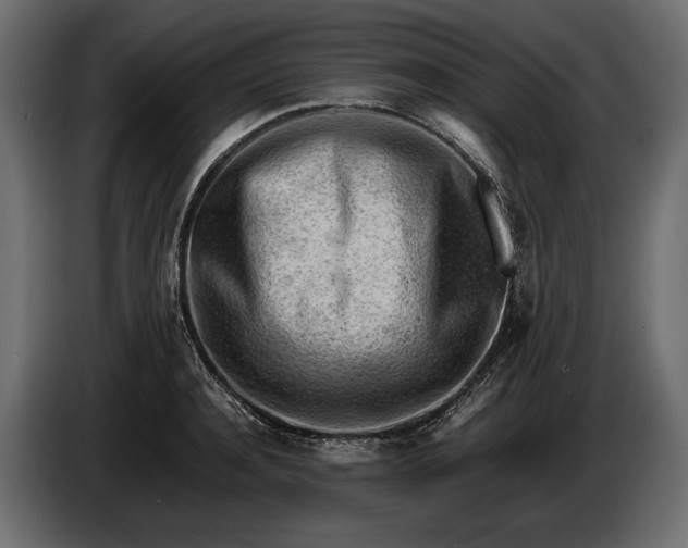 X0000086290944200704131544