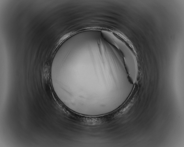 X0000086290945200704131544