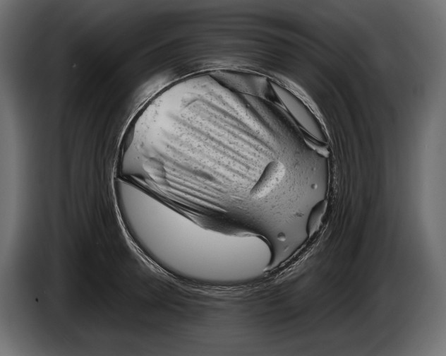 X0000086290946200704131544