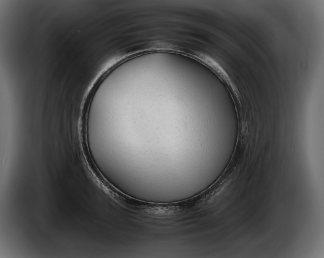 X0000086290947200704131544