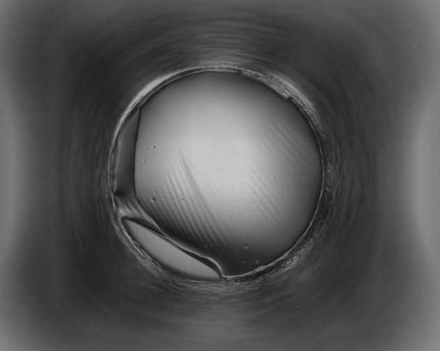 X0000086290948200704131545