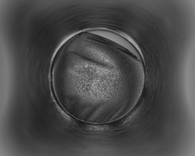 X0000086290951200704131545