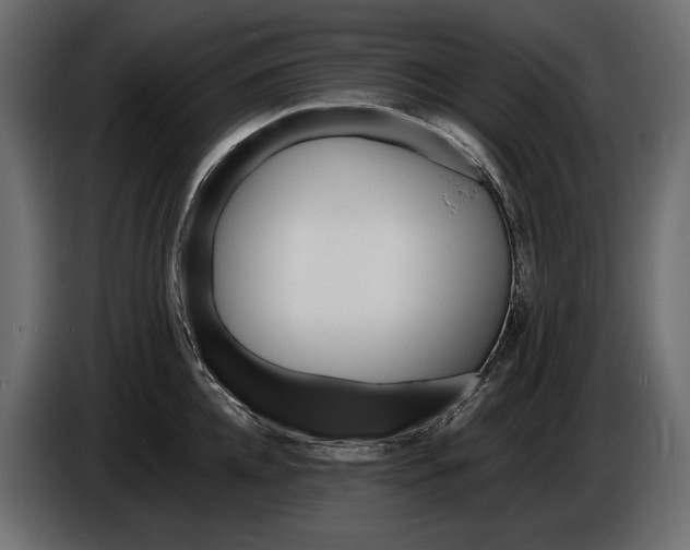 X0000086290952200704131545