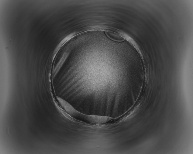 X0000086290954200704131545