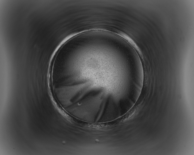 X0000086290955200704131545