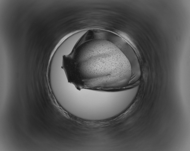 X0000086290956200704131545