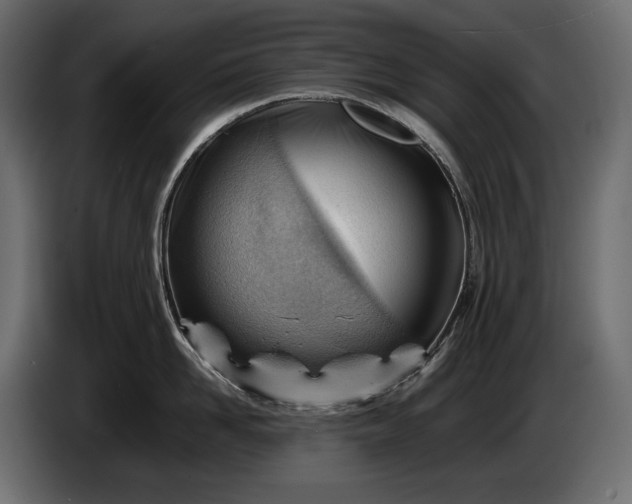 X0000086290958200704131545