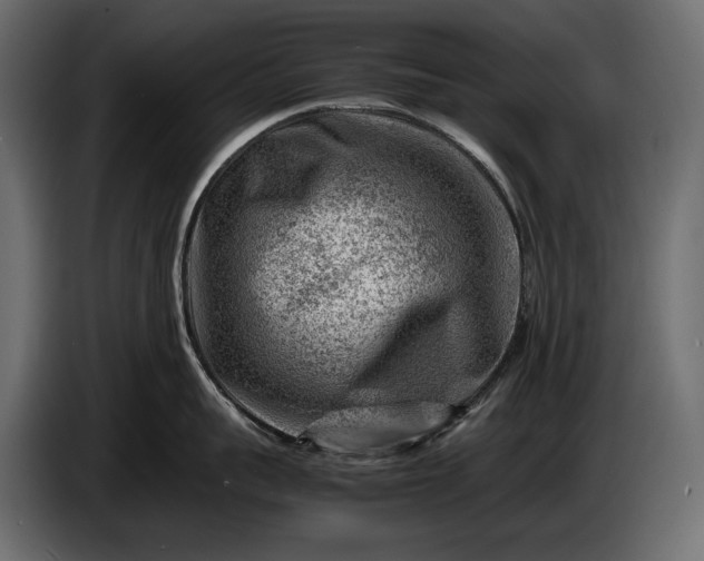 X0000086290959200704131545