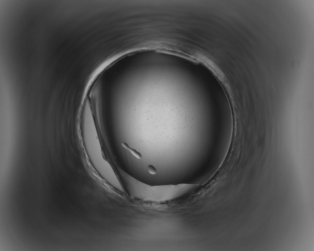 X0000086290960200704131545